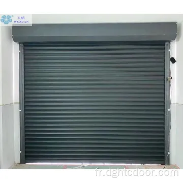 Porte de garage d&#39;obturateur à rouleaux d&#39;aluminium électrique résidentiel